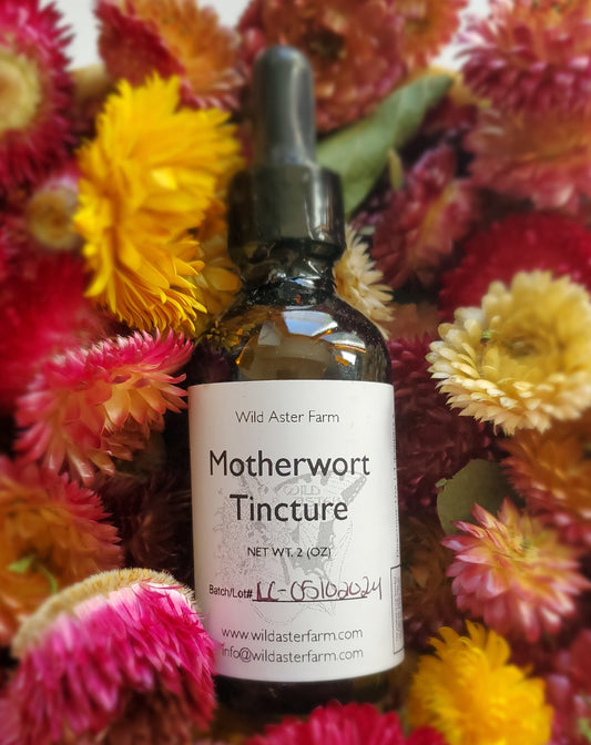 Motherwort Tincture