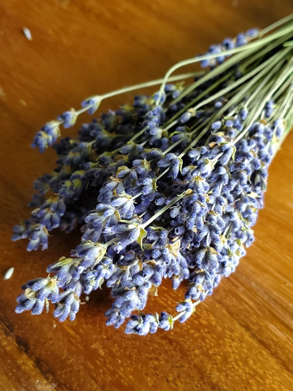 Dried Lavender Bundle