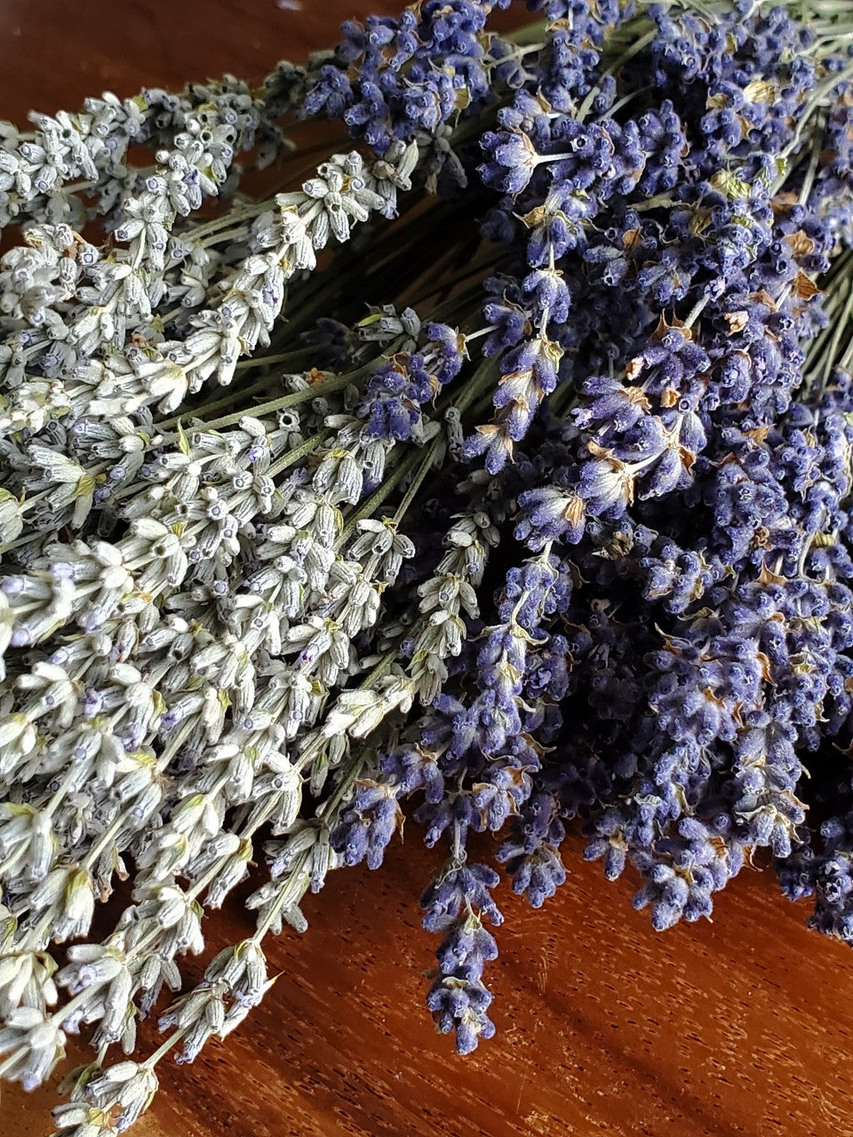 Dried Lavender Bundle